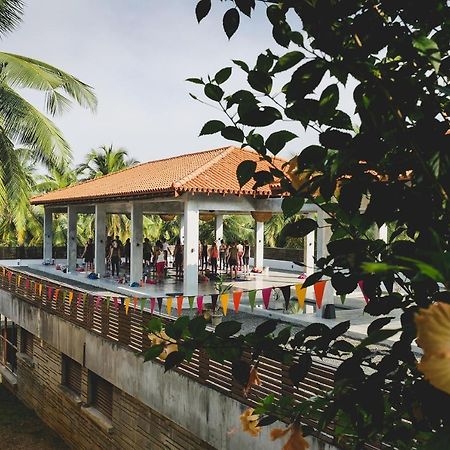Utmt - Underneath The Mango Tree Spa & Beach Resort Dikwella Exterior foto