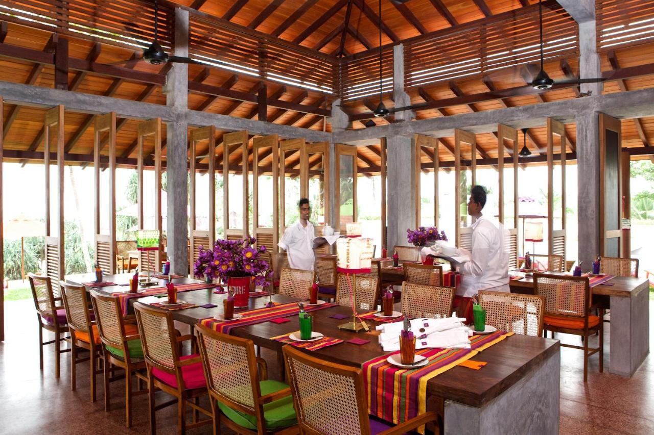 Utmt - Underneath The Mango Tree Spa & Beach Resort Dikwella Exterior foto